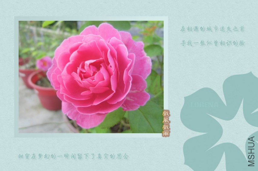 CIMG0081_����.jpg