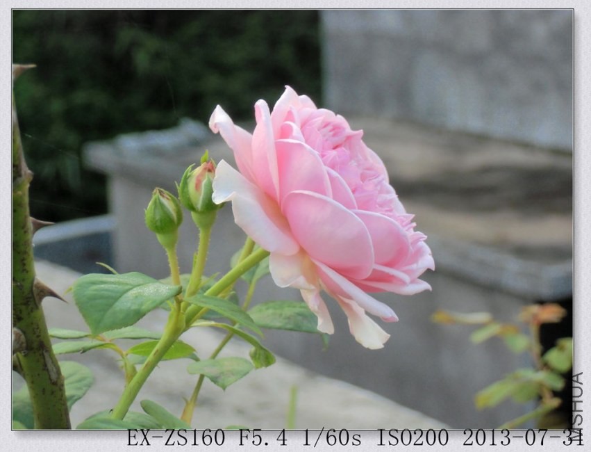 CIMG0063_����.jpg