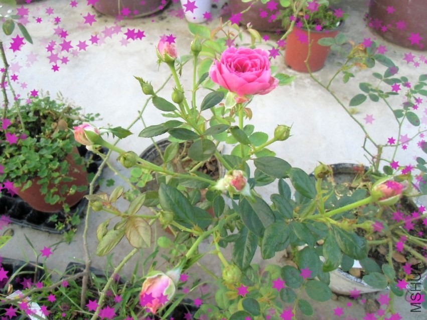 CIMG0060_����.jpg