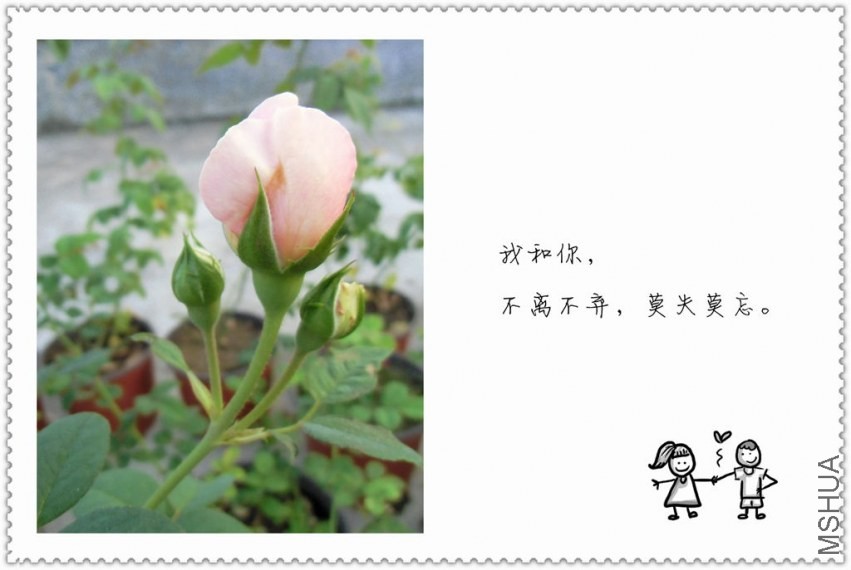 CIMG0058_����.jpg
