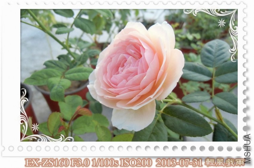 CIMG0057_����.jpg