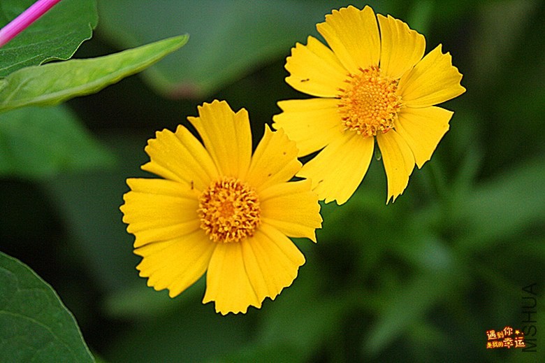 ��Ƭ 083_����.jpg