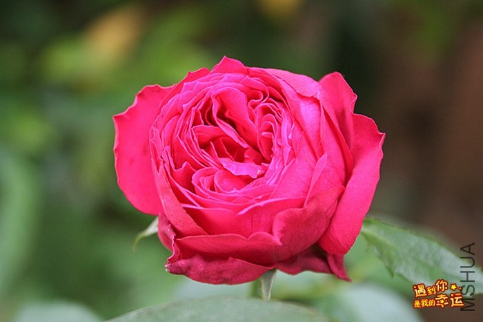 ��Ƭ 025_����.jpg