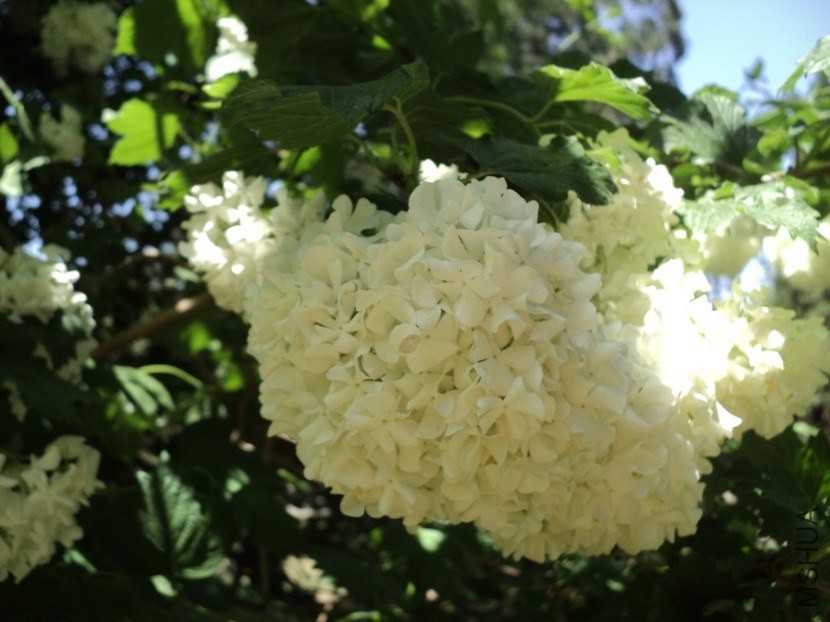20130801141315.jpg