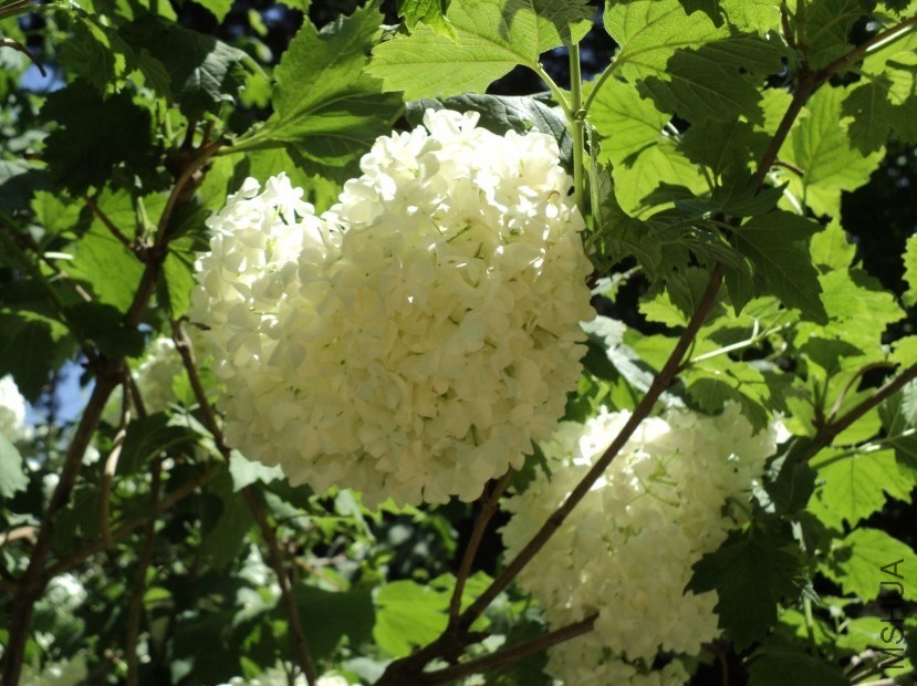20130801141331.jpg