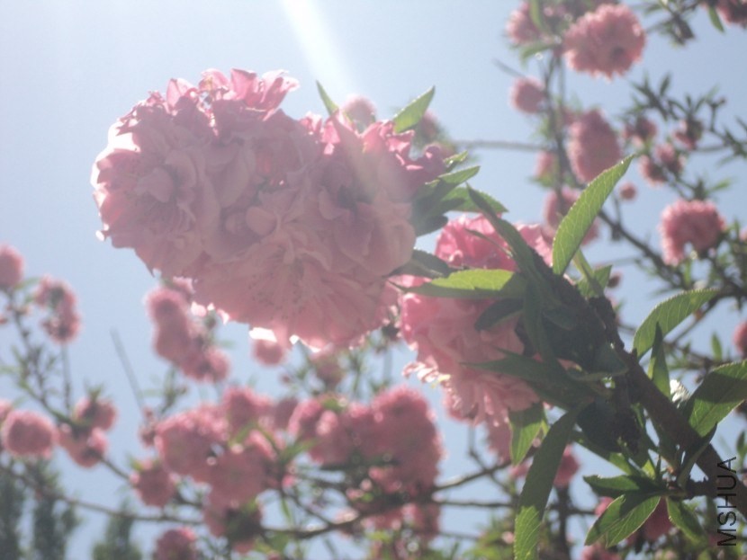 20130801141509.jpg