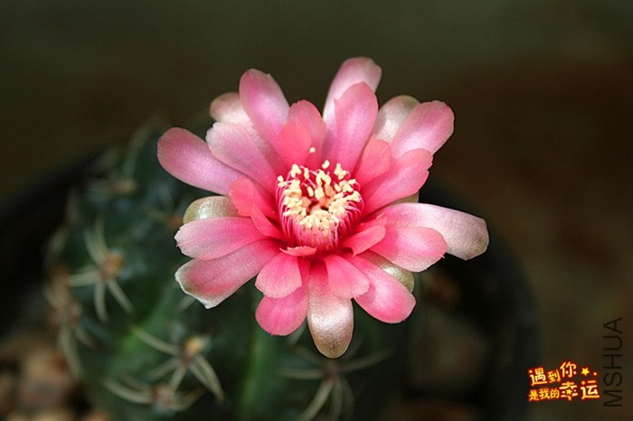 ��Ƭ 044_����.jpg