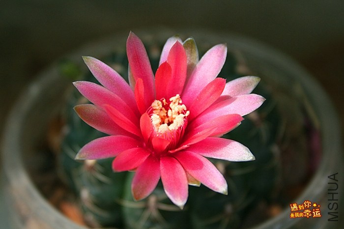 ��Ƭ 046_����.jpg