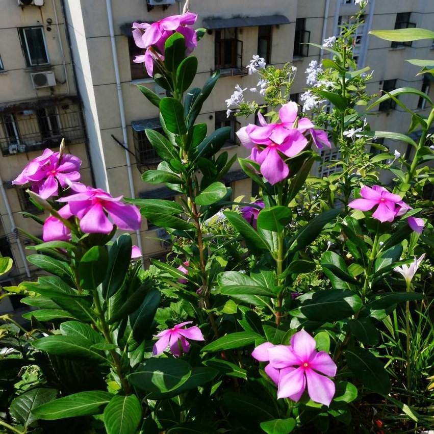 P1080111.jpg