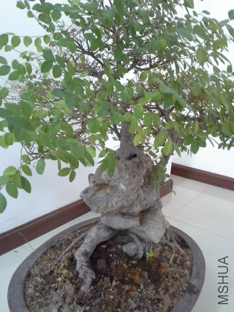 20130729_100638.jpg