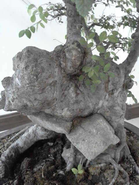 20130729_100649.jpg