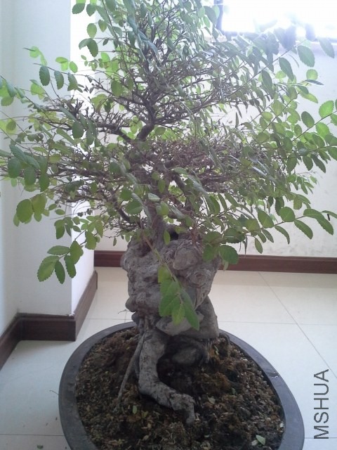 20130729_101558.jpg