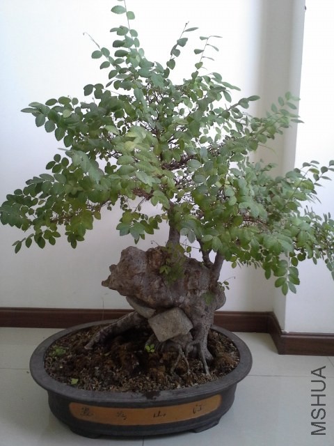 20130729_101610.jpg