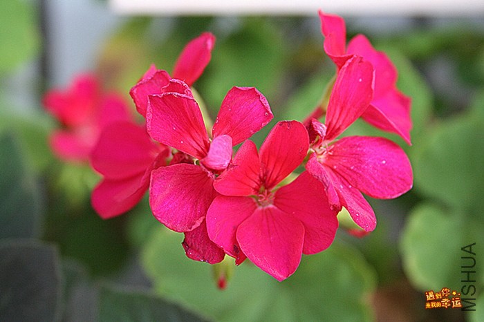 ��Ƭ 027_����.jpg