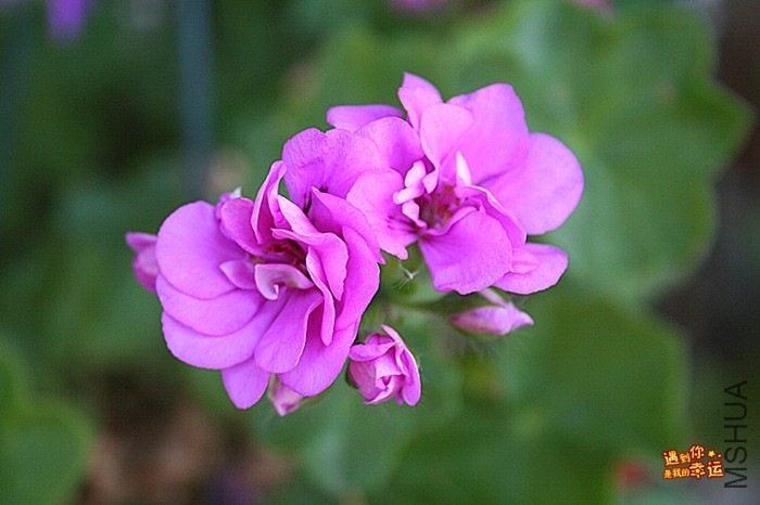 ��Ƭ 047_����.jpg