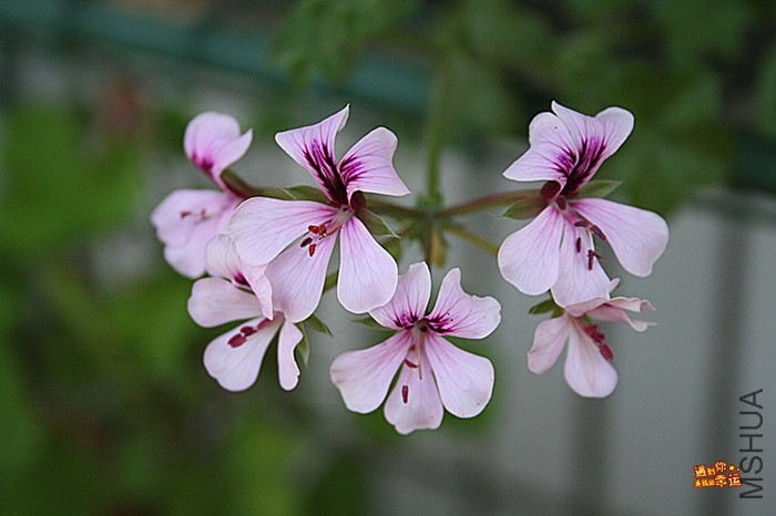 ��Ƭ 040_����.jpg