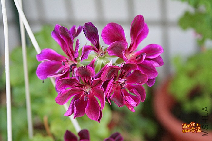 ��Ƭ 034_����.jpg