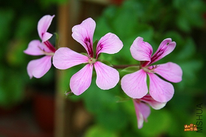 ��Ƭ 032_����.jpg