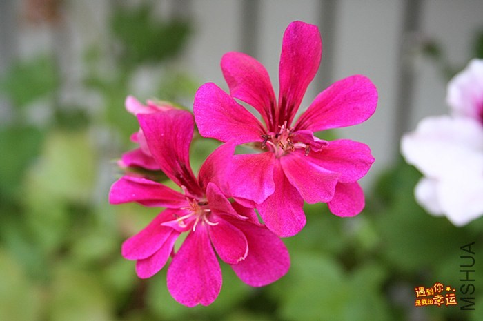 ��Ƭ 023_����.jpg