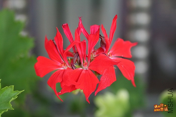 ��Ƭ 007_����.jpg