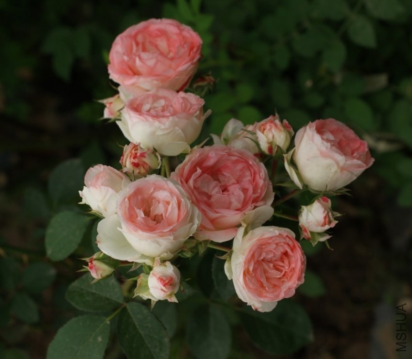 QQͼƬ20130802202542.jpg