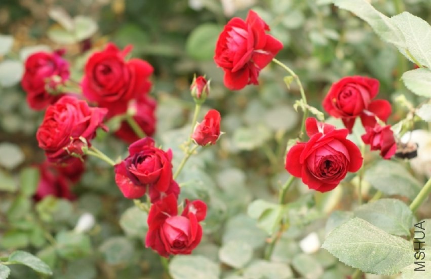 QQͼƬ20130802203334.jpg