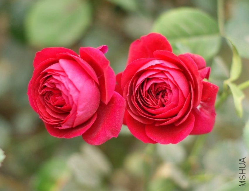 QQͼƬ20130802203319.jpg