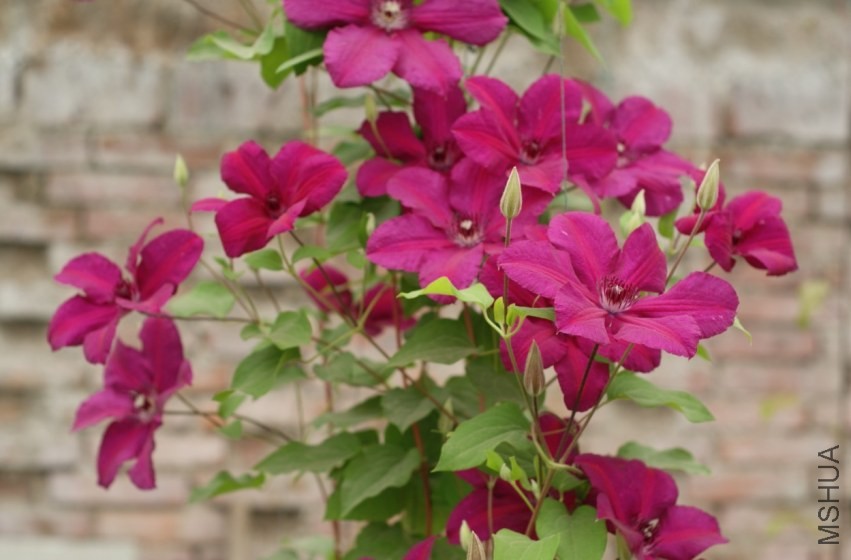 QQͼƬ20130802204544.jpg