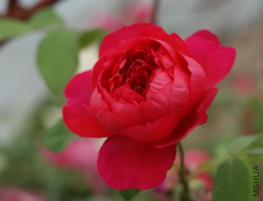 QQͼƬ20130802205027.jpg