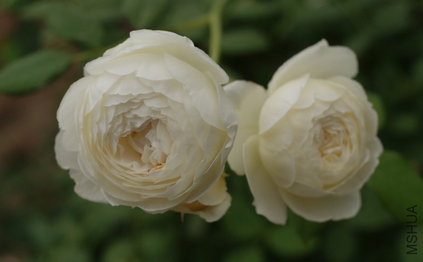 QQͼƬ20130802205038.jpg