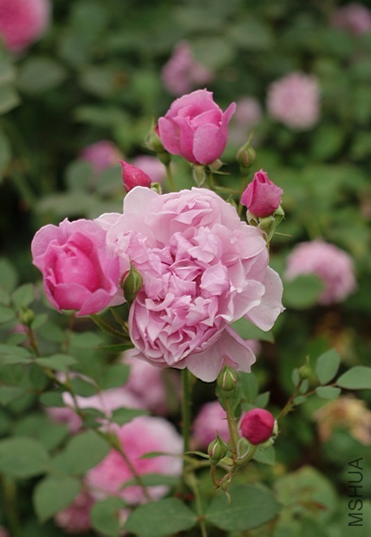 QQͼƬ20130802205211.jpg