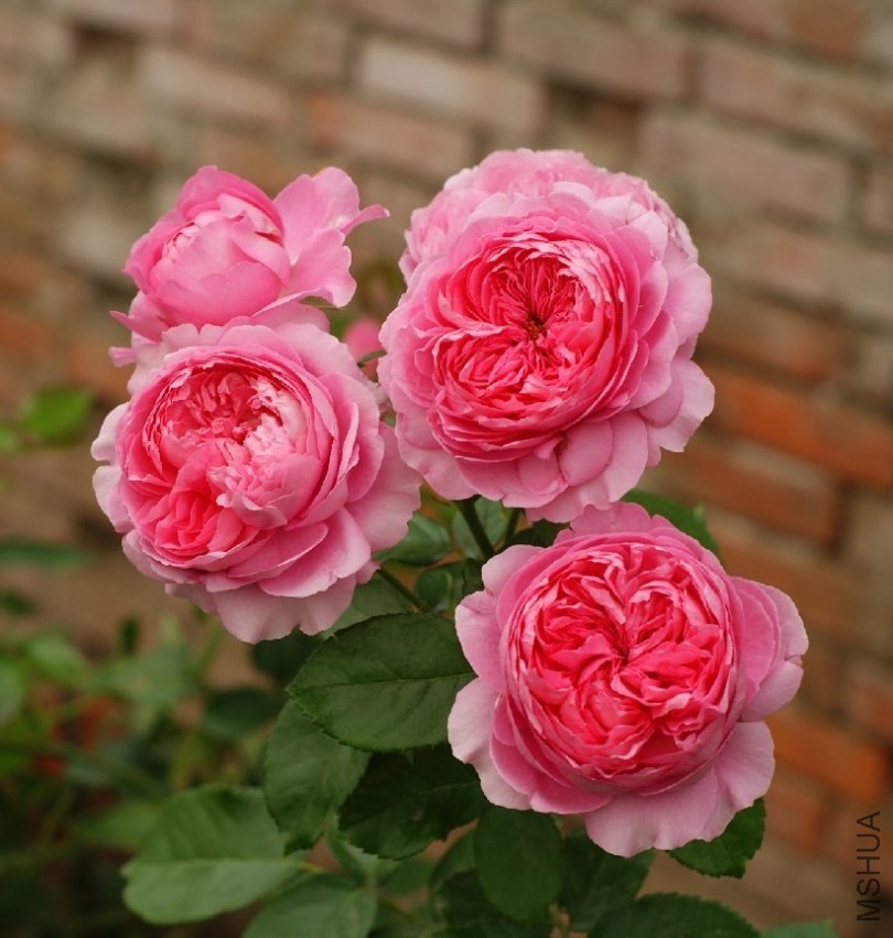 QQͼƬ20130802211000.jpg