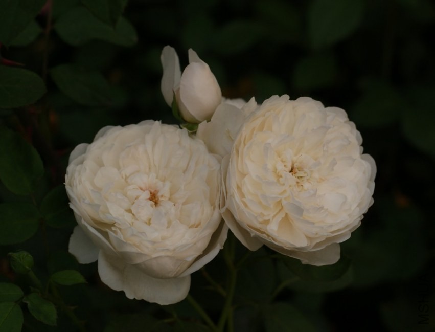 QQͼƬ20130802210841.jpg