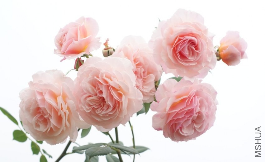 QQͼƬ20130802210626.jpg