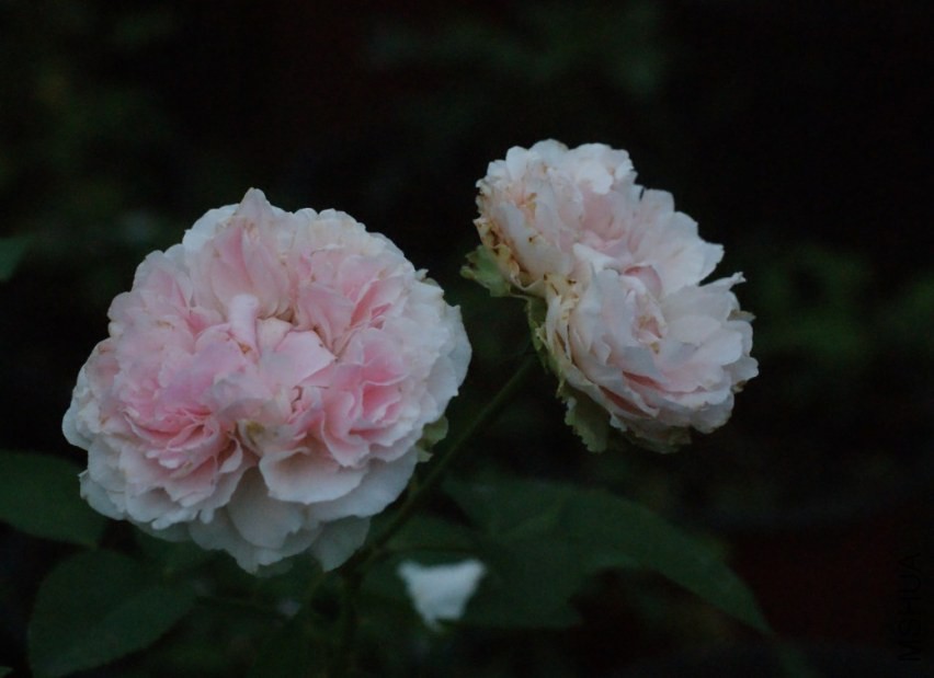 QQͼƬ20130802211433.jpg