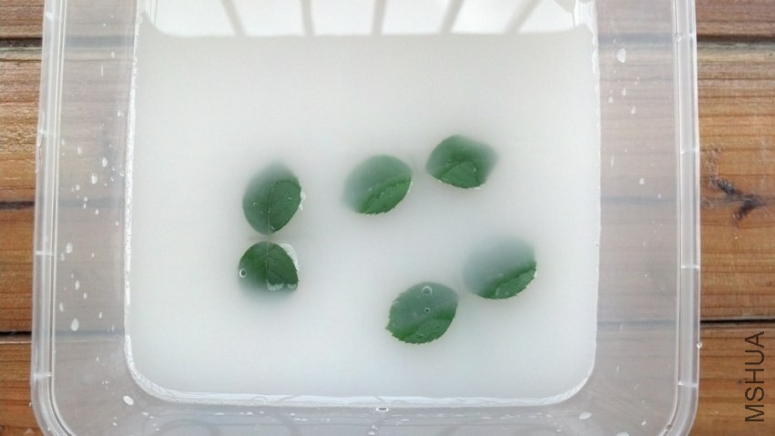 2013-07-14_09-30-27_374.jpg