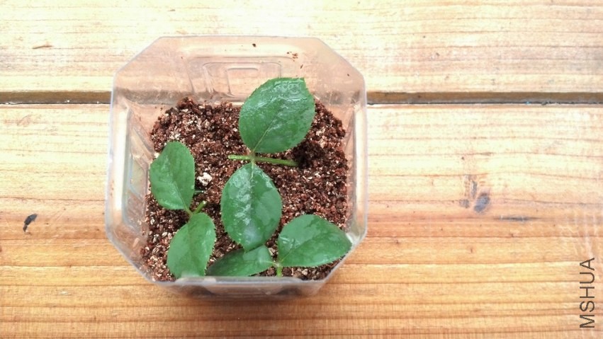2013-07-14_09-32-45_847.jpg