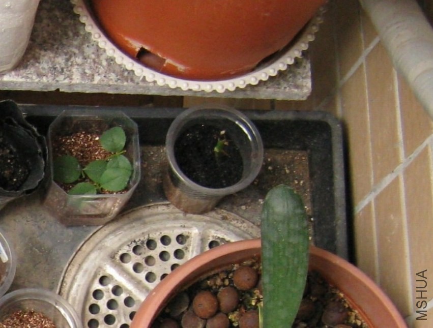 2013-08-02_005.jpg