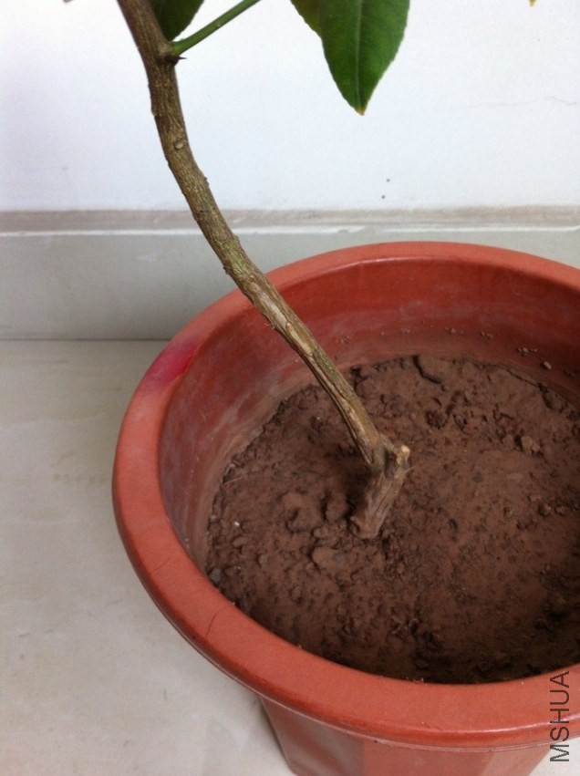 QQͼƬ20130803091221.jpg