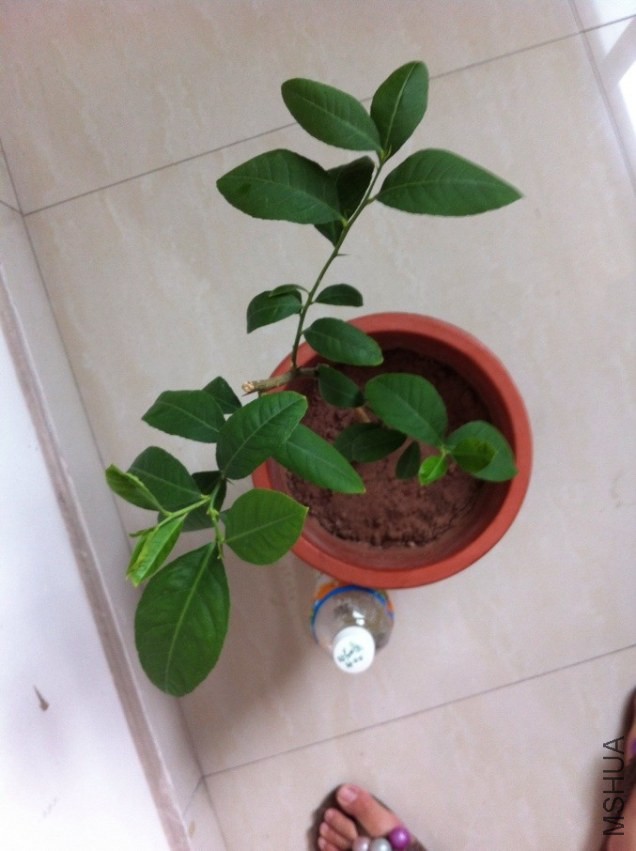 QQͼƬ20130803091226.jpg