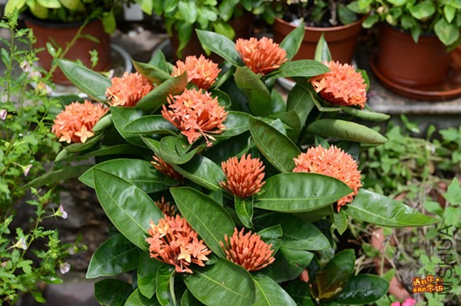 ��Ƭ 002_����.jpg