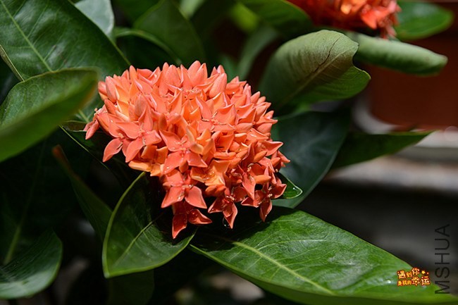 ��Ƭ 003_����.jpg