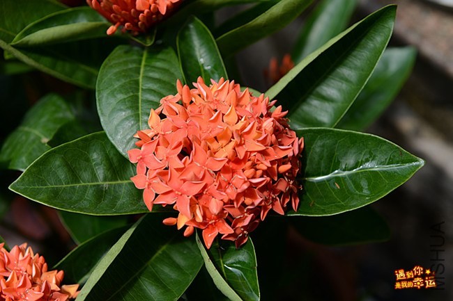 ��Ƭ 006_����.jpg