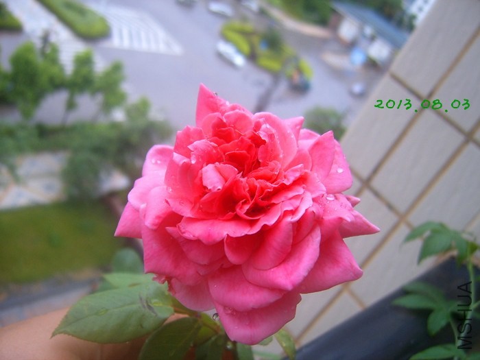 SUC58026_����.jpg