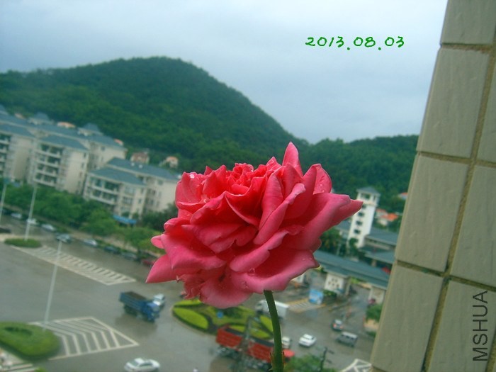 SUC58030_����.jpg