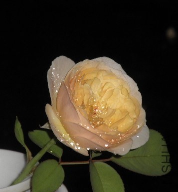 QQͼƬ20130803131138.jpg