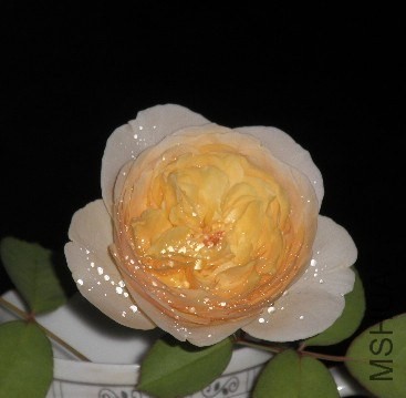 QQͼƬ20130803131152.jpg