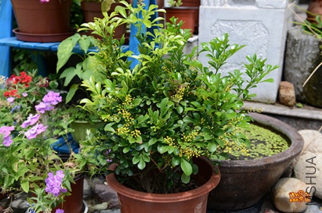 ��Ƭ 007_����.jpg