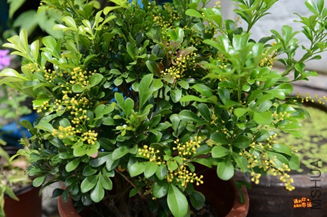 ��Ƭ 009_����.jpg