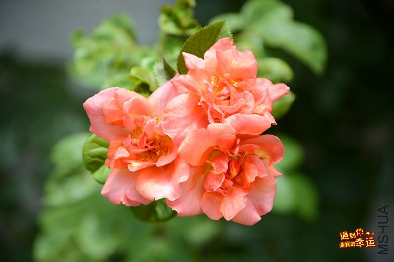 ��Ƭ 030_����.jpg